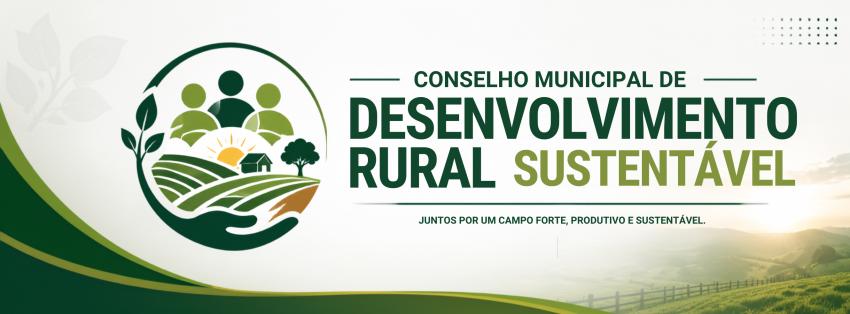 Informações do Conselho