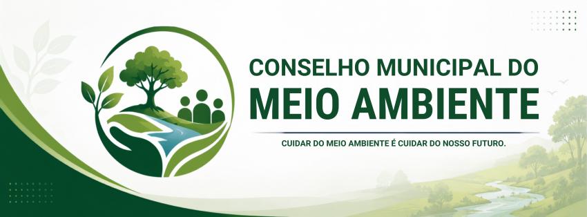 Informações do Conselho